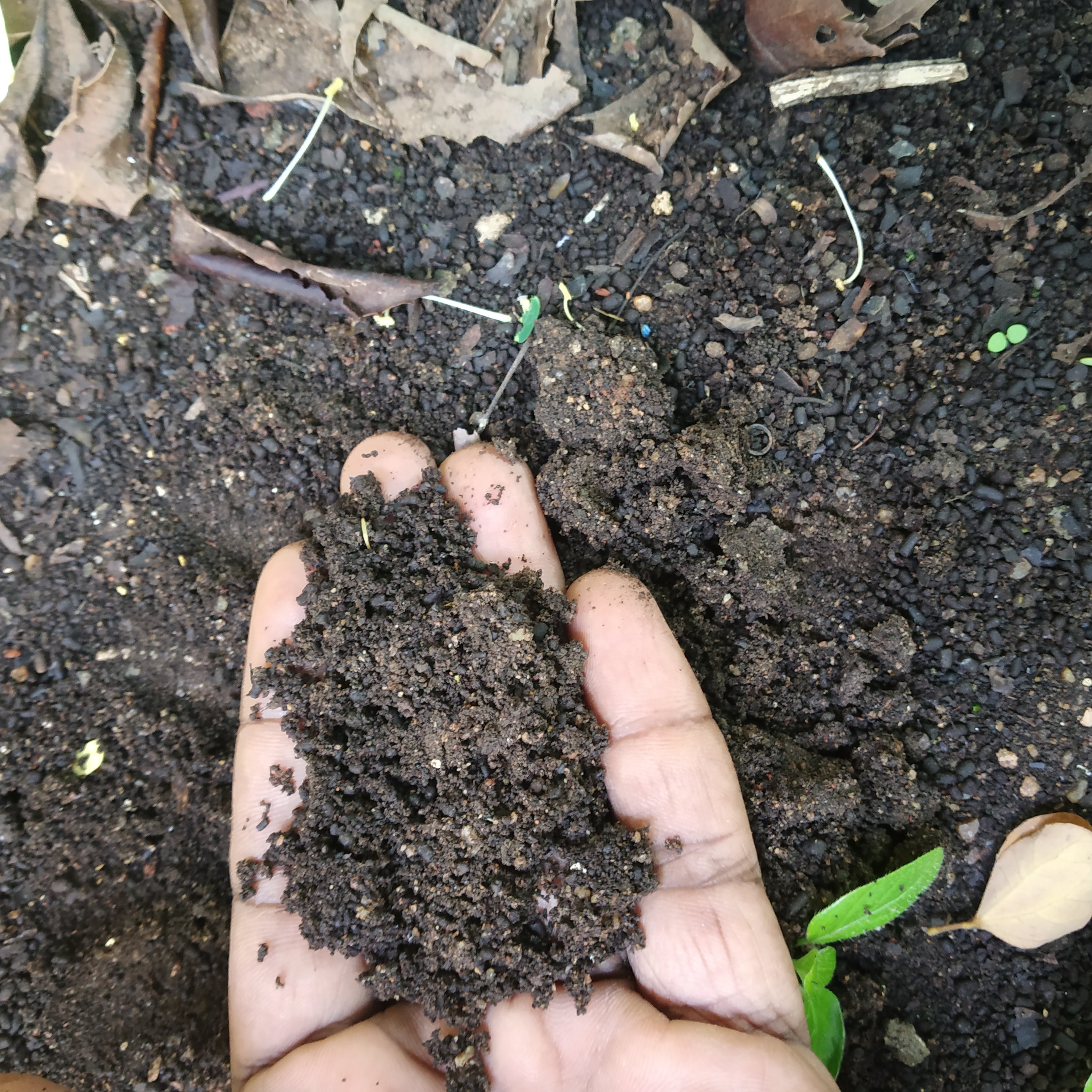 Karisal Soil